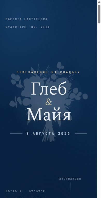 Шаблон «Цианотипия»
